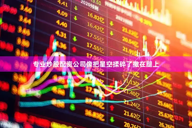 专业炒股配资公司像把星空揉碎了撒在腿上